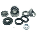 Front Differential Bearing & Oil Seal Repair Kit - Solves Leaks for Vw touareg Porsche Cayenne (2010-2025)